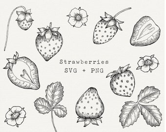 Strawberry SVG, Hand Drawn Strawberry Vector for Labels, Cricut Cut File, Logo, Stickers, Berries, Black and White Line Art, Rustic Clipart