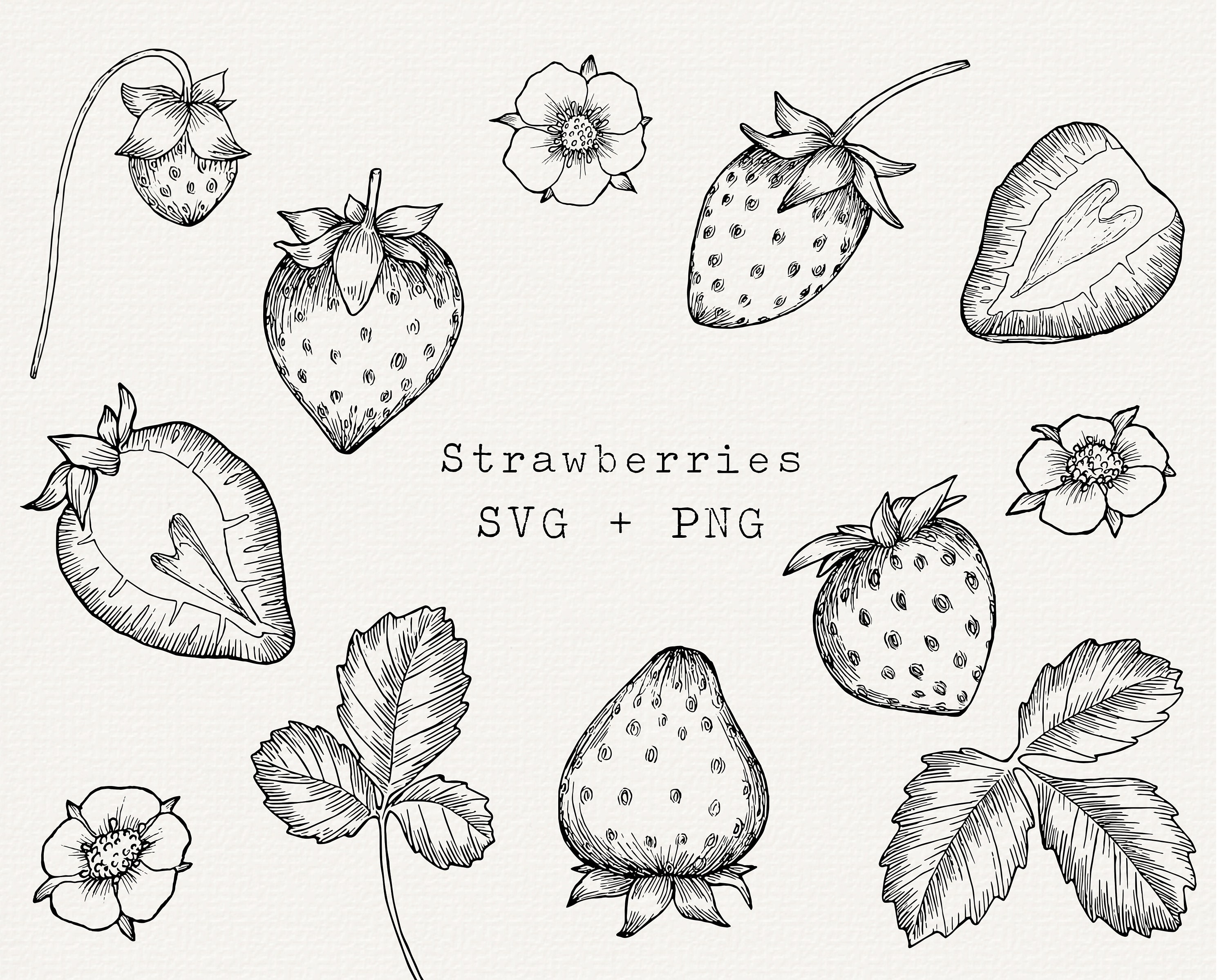Strawberry SVG Hand Drawn Strawberry Vector for Labels Etsy
