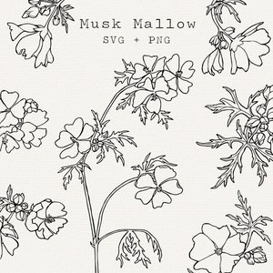 Musk Mallow SVG, Ilustração de Clip Art de Malva, Arte de Linha Vetorial, Clipart Medicinal Selvagem para Etiquetas, Arquivo de Corte, Cricut, Desenho de Contorno Simples