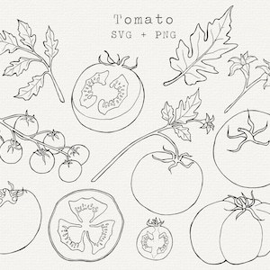 Paquete SVG de tomates, ilustración de tomates para uso comercial, archivo de corte para Cricut, arte lineal simple, dibujo de huerto, descarga
