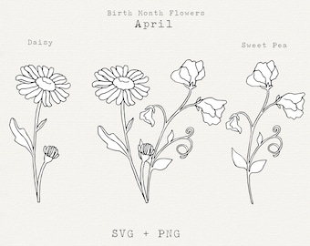 Daisy SVG, Sweet Pea SVG, April Birth Month Flower SVG, April Birthday Flower, Botanical Line Art, Floral Clipart, Sweetpea, Cricut Cut File