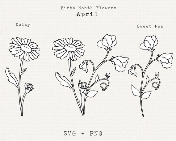 Simple Rose Svg - Shop on Pinterest