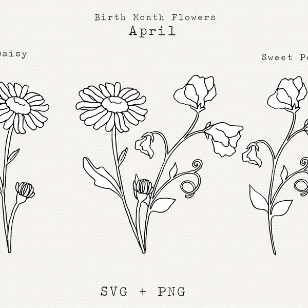 Daisy SVG, Sweet Pea SVG, April Birth Month Flower SVG, April Birthday Flower, Botanical Line Art, Floral Clipart, Sweetpea, Cricut Cut File