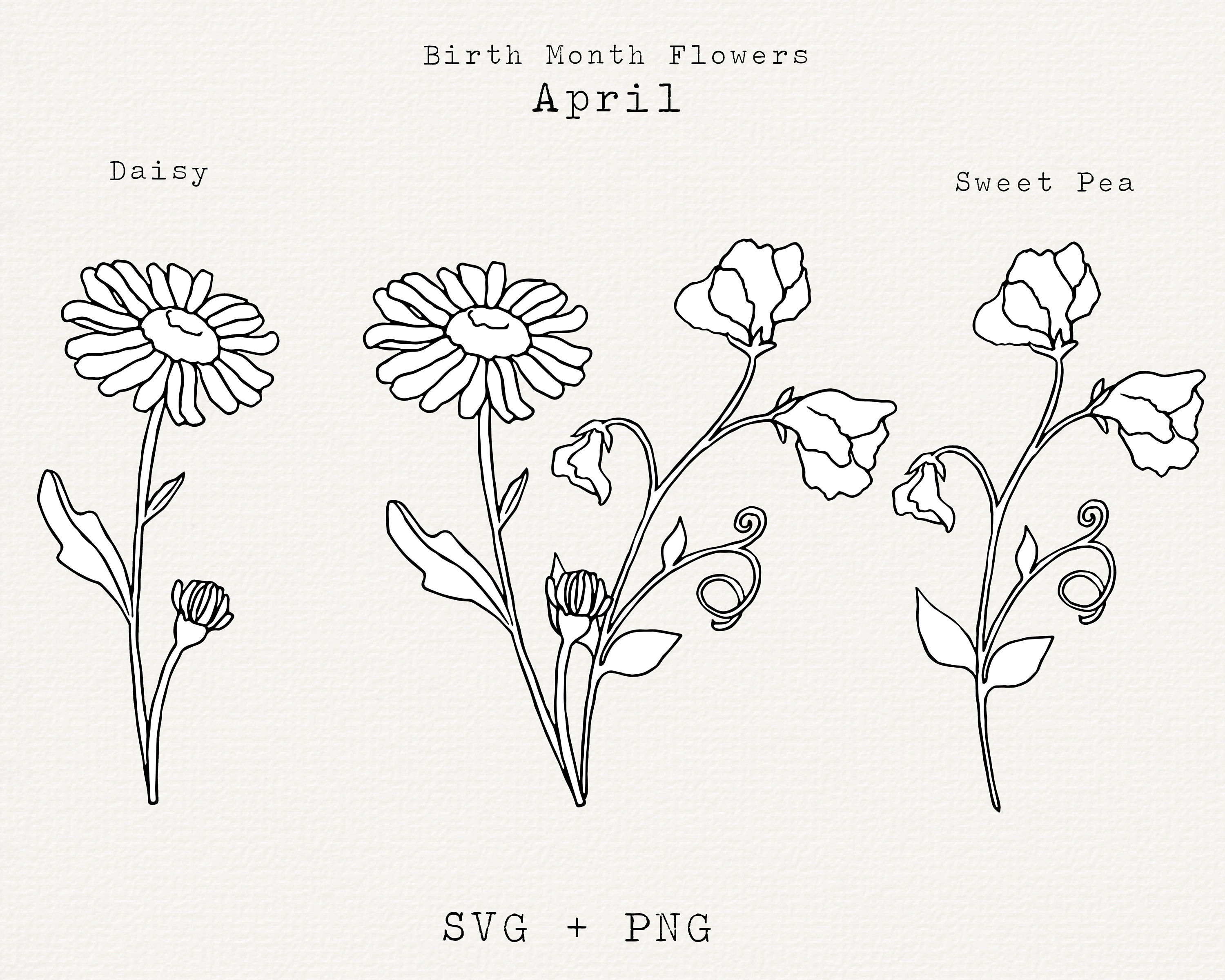 Black and White Flower CLIPART Bundle Free PNG, Flower Stem SVG Free, Simple Rose with Stem Cut Out Transparent, Plant Leaves Floral Cutting  Outline Graphic Design Images, Teesvg