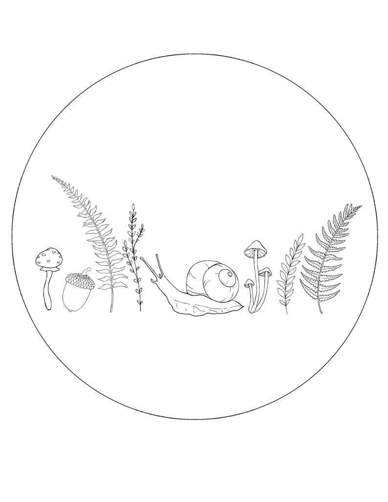 Op de afbeelding: Een zwart-wit lijntekening van bos elementen in een cirkel. De illustratie bevat een slak, paddenstoelen, varens en een eikel. Het ontwerp is eenvoudig en heeft een natuurthema.