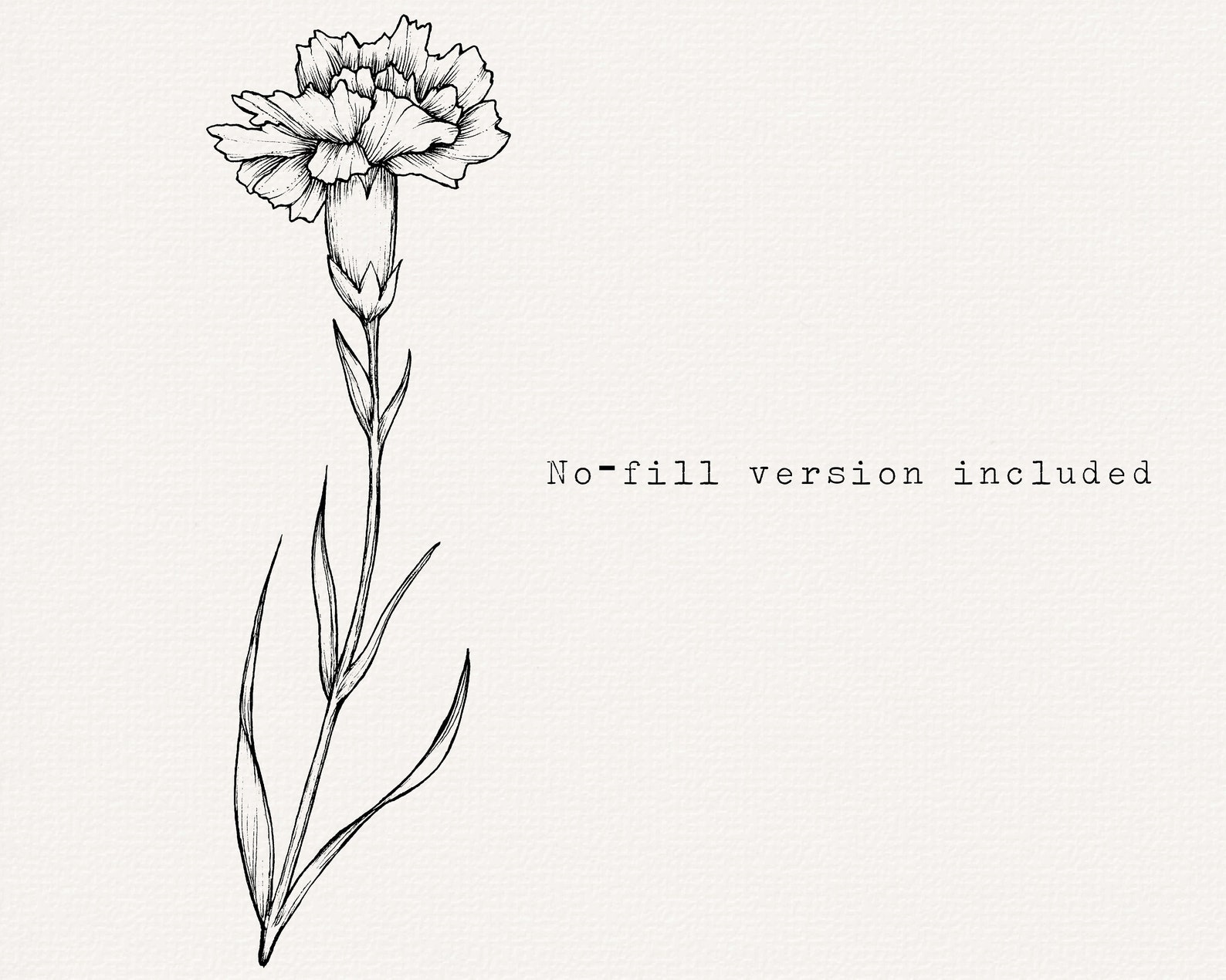 Hand Drawn Carnation Flower Line Art Clipart (PNG) - Etsy Canada