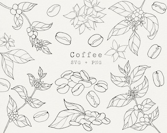 Coffee SVG Bundle, Commercial Use, Coffee Bean Vector, Coffee Plant Line Art, Line Drawing, Cut File for Cricut, Clipart, Label, Cafe Logo