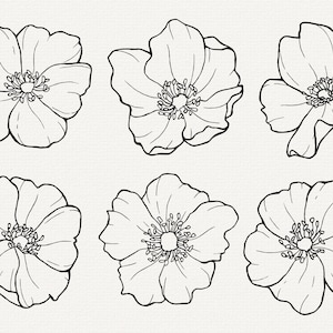 Pu&ograve; includere: Sei disegni in bianco e nero di fiori. Ogni fiore ha cinque petali e un centro con un cerchio e cerchi pi&ugrave; piccoli.