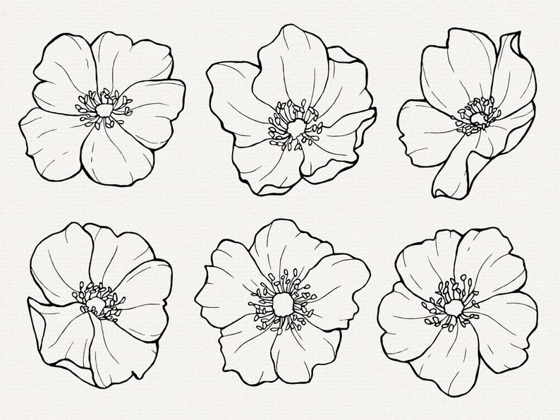 Pu&ograve; includere: Sei disegni in bianco e nero di fiori. Ogni fiore ha cinque petali e un centro con un cerchio e cerchi pi&ugrave; piccoli.