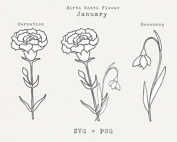 January flower deals