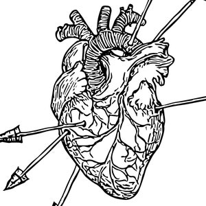 Cuore e frecce SVG, vettore cuore trafitto, cuore anatomico, grafica d'amore, linea fine arte, file di taglio per Cricut, incisione laser immagine 2