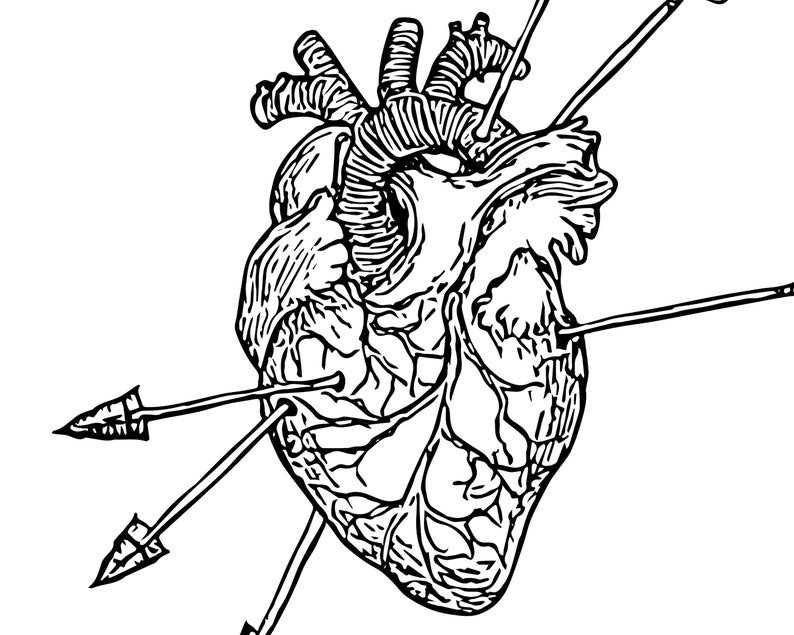 Cuore e frecce SVG, vettore cuore trafitto, cuore anatomico, grafica d'amore, linea fine arte, file di taglio per Cricut, incisione laser immagine 2