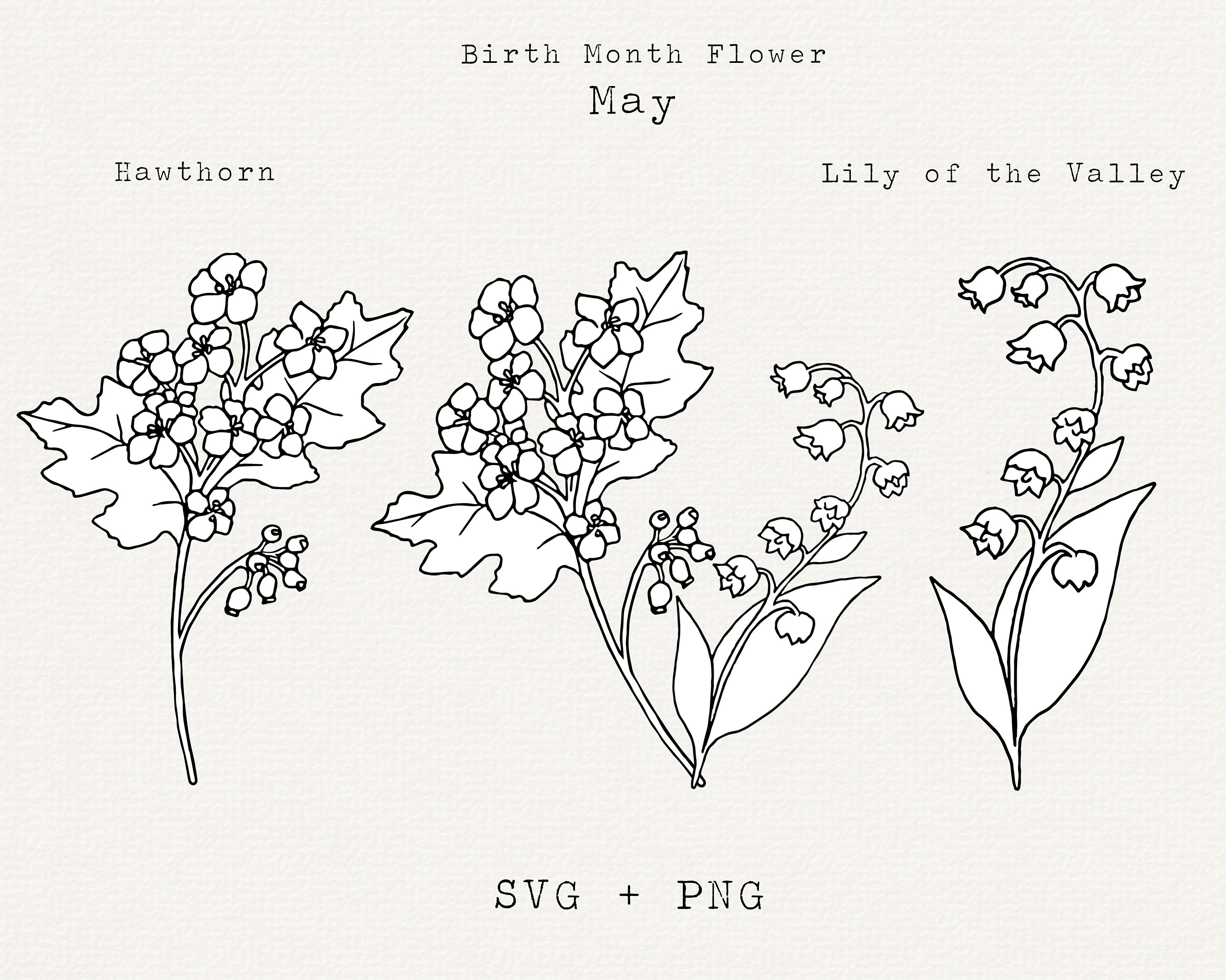 May sale birthday flower