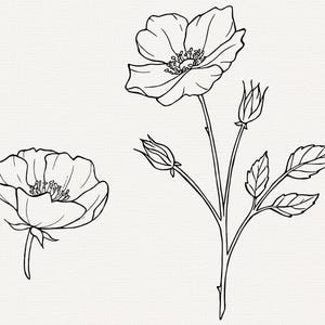 Pu&ograve; includere: Disegno a linea di due rose in bianco e nero. Una rosa &egrave; in fiore e l'altra &egrave; un bocciolo. Entrambe le rose hanno steli e foglie.