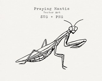 Praying Mantis SVG, Insect SVG, Bug SVG, Hand Drawn Vector Art, Cut File for Cricut, Cameo, Laser Engraving, Diy Cardmaking Graphics