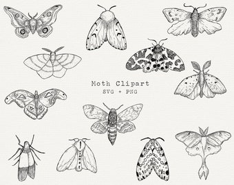 Moth SVG, Moths Clipart, Moth SVG Bundle, Moth Line Drawing, Cut File for Cricut, Diecut, Silhouette, Logo, Sublimation, Black Outline, PNG