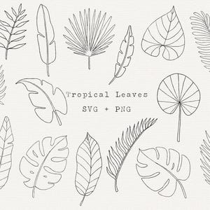 Op de afbeelding: Een set van 14 zwart-witte lijntekeningen van tropische bladeren. De bladeren zijn getekend in een eenvoudige, minimalistische stijl. De tekst "Tropical Leaves SVG + PNG" staat in het midden van de afbeelding.