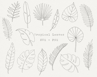 Tropical Leaf SVG Bundle, Tropical Leaves Clipart, Summer Greenery Line Art, Simple Outline Leave, Monstera Leaf, Palm, Cut File For Cricut