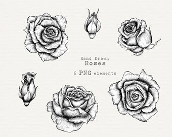 Handgezeichnete Rose ClipArt, handgezeichnete Rose PNG, schwarz-weiße Blumen Clipart, für Hochzeit, botanische Linienkunst, Rose PNG digitaler Download