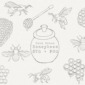 Honeybee SVG Bundle, Honeycomb SVG, Honey SVG, Bee Line Art, Simple Outline, Cut File for Cricut, Bee Logo, Bee Branding, Bee Clipart, Laser