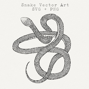 Snake SVG, Snake Svg, gráficos vetoriais de cobra, ilustração detalhada de cobra, download instantâneo, contorno preto e branco, clipart de arte de linha fina