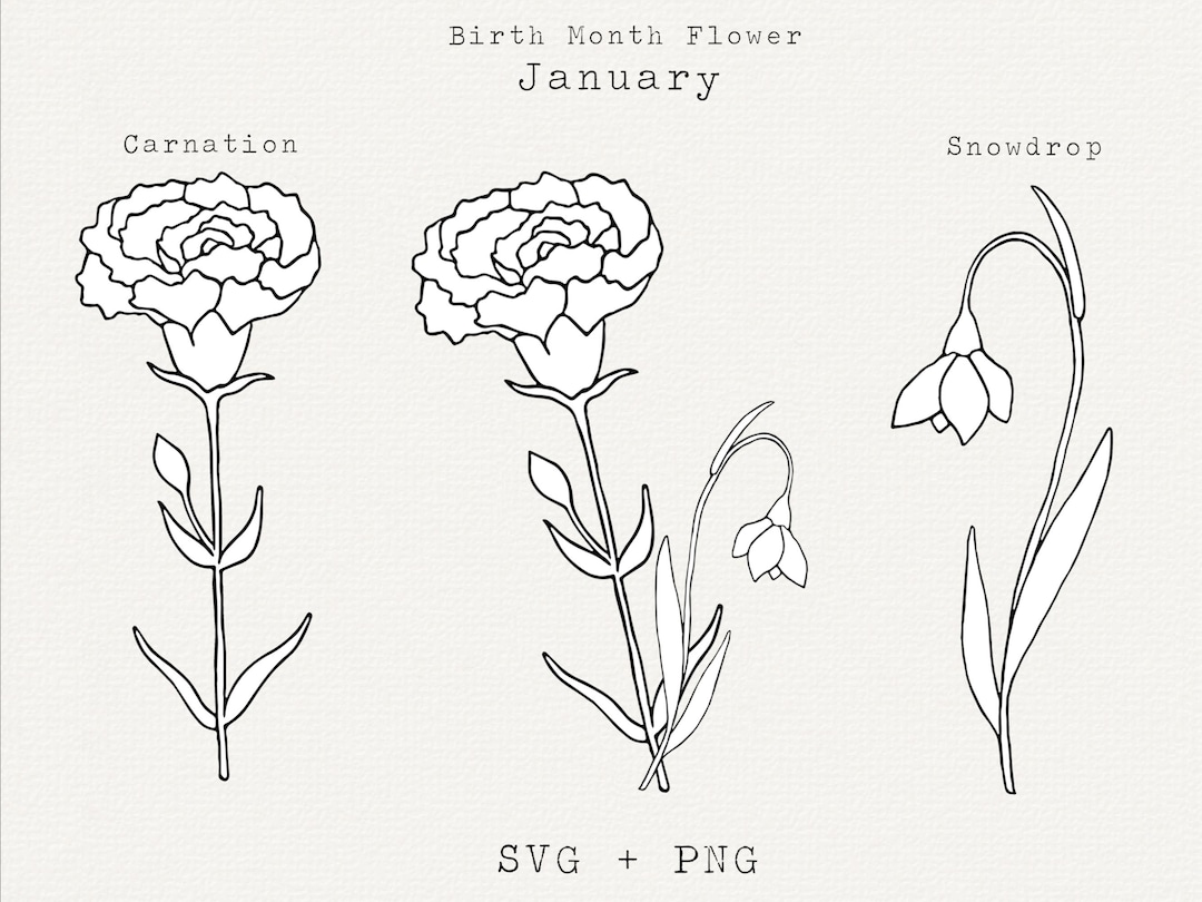 January Birth Month Flower Print, Carnation & Snowdrop Floral Line Art ...