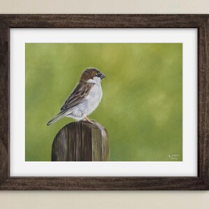 Watching the world go by - sparrow print
