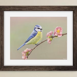bossom - bluetit print