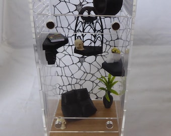 Recinto para arañas saltarinas, terrario acogedor, hogar de acrílico decorado