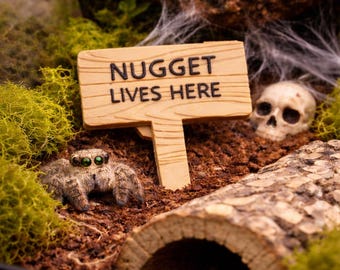 Personalized Name Tag, Wooden Effect Name Sign, Jumping Spider, Enclosure Decor, Reptile Tank