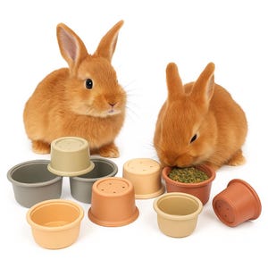 Rompecabezas de enriquecimiento para conejos y cobayas, rompe el aburrimiento, macetas apilables, juguete para conejos y mascotas pequeñas, vasos apilables