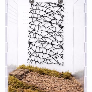 May include: A clear acrylic terrarium enclosure featuring a black, web-like climbing structure mounted on the back wall. The base contains a layer of dark soil, a patch of green moss, and a small piece of textured brown bark for ground cover.