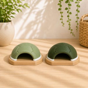 Magnetic Turtle Shell Hide for Jumping Spiders, Magnetic and Freestanding, Nature Enclosure Decoration, Cottagecore