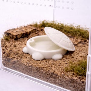 Puede incluir: Un terrario de acrílico transparente con un bebedero blanco en forma de tortuga y su tapa. El terrario contiene un sustrato de arena marrón, trozos de madera y parches de musgo verde.