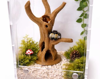Springspin Tree Hide, decor holle boombehuizing, klimhabitat voor boomspinnen, decor mini-reptieltank