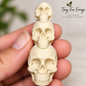 Può includere: Una pila di tre teschi color bianco sporco, testurizzati e di dimensioni variabili, disposti verticalmente dal più piccolo in alto al più grande in basso. Il testo Tiny Fur Forage, TINY HABITS & CURIOUS CREATURES è visibile in alto a destra.