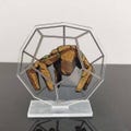 Project Hail Mary Acrylic Standee | Rocky Standee | Amaze fan art product logo