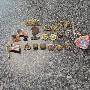 21: RARE Vintage VFW auxiliary pin & Badge Lot Veterans of Foreign Wars  Others
