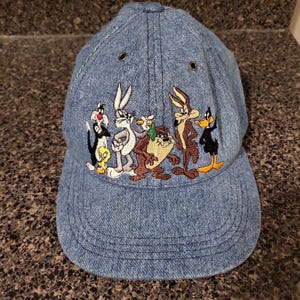 Warner Bros Cap - Etsy