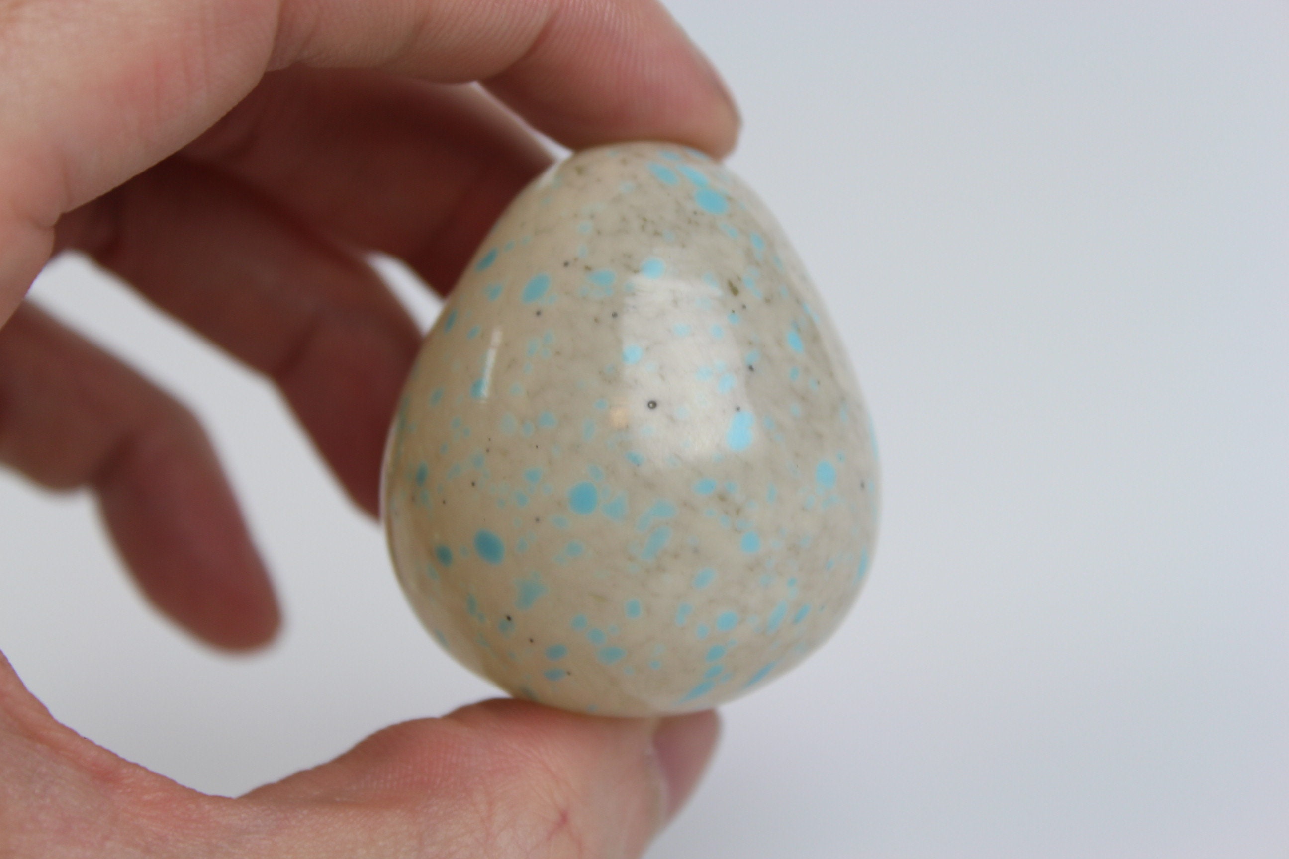 White Egg with Blue Spots Glass Robins Egg Paperweight Hand Etsy