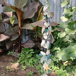 May include: A coastal-themed wind chime featuring seashells, sea glass, and a starfish. The chime is strung with beads in shades of blue and green. The background includes lush green plants and a corrugated metal wall.