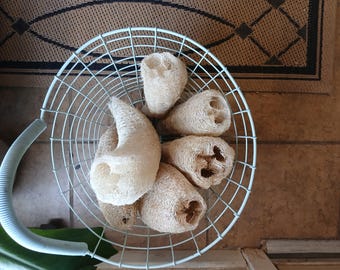 May include: A selection of natural loofah sponges in a white wire basket. The loofahs are beige and have a textured, fibrous appearance. The basket has a curved handle and is set against a neutral background.