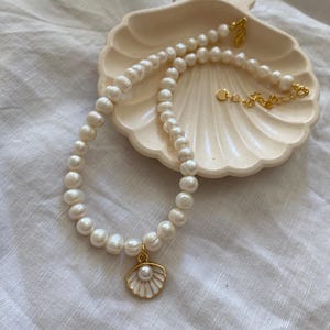 Freshwater pearl necklace, Shell Necklace, Shell pendant necklace, Ocean inspired jewelry, Beach necklace, Mermaid core