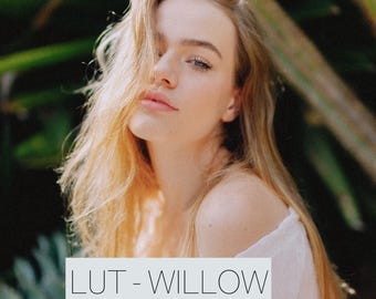Willow LUT: Film-Inspired Color Grade for Lumix S9 (Digital Download .cube File)