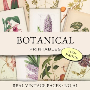 May include: A collection of botanical printables featuring vintage illustrations of flowers and plants. The image includes the text "BOTANICAL PRINTABLES" and "100+ PAGES". The phrase "REAL VINTAGE PAGES • NO AI" is also visible.