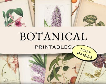 Stampe botaniche vintage / Oltre 100 illustrazioni antiche stampabili / Materiale effimero per junk journal / Fiori e piante / NO AI / Download digitale PDF