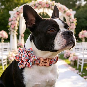 May include: A Boston Terrier wearing a floral collar and bow tie. The collar is rose gold with the name "Max" and a phone number. The dog is in front of a wedding arch decorated with pink flowers.