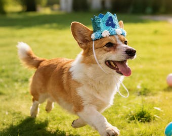 Custom Pet Birthday Hat with Roses&Number, Handmade Sparkly Glitter Dog Cat Tiara, Dog Party Hat, Perfect Gift for Pets