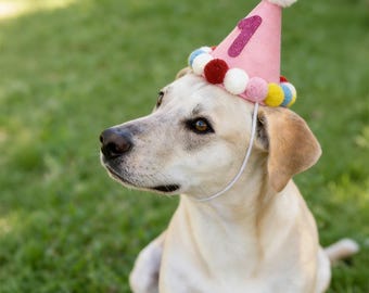 Custom Pet Birthday Hat with Shiny Number & Pom-Poms – Adjustable for Dogs and Cats, Perfect Gift for Dog Mom, Cat Lover, Pet Owner