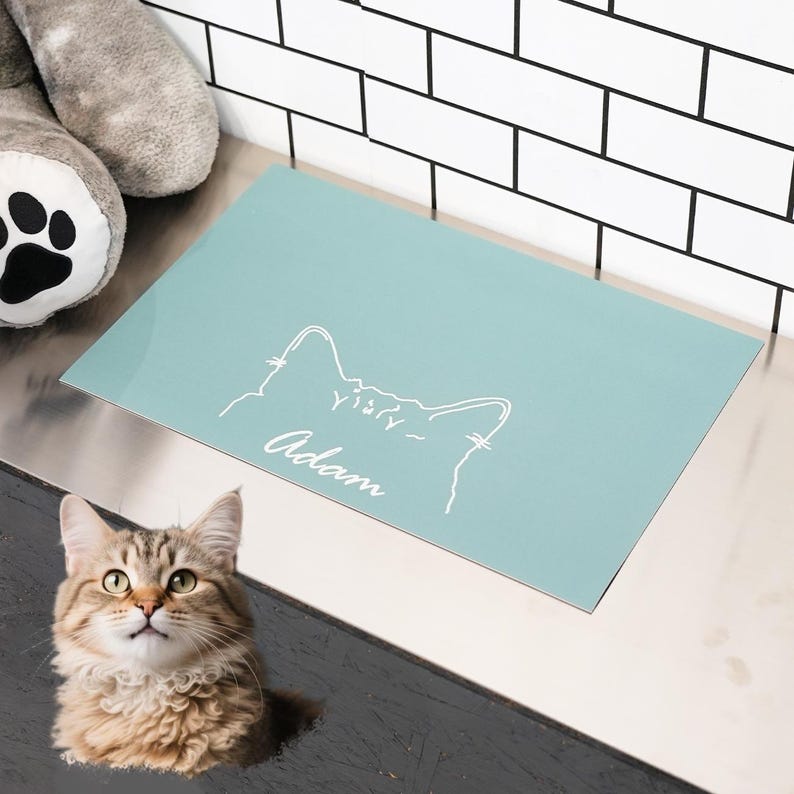 May include: A light blue rectangular mat with a white cat outline and the name "Adam" in script. The mat is on a metallic surface, with a cat in the foreground.